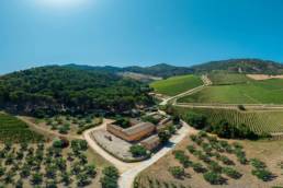 Aerial view of a Sicilian wine estate surrounded by olive groves and hillside vineyards, where Sicilian native grapes are grown.