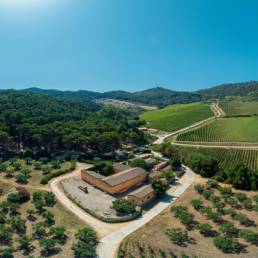 Aerial view of a Sicilian wine estate surrounded by olive groves and hillside vineyards, where Sicilian native grapes are grown.