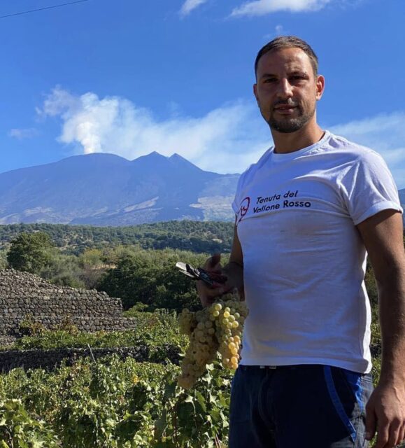 A vineyard worker on the slopes of Mount Etna holds golden Carricante grapes as the volcano smokes behind him.